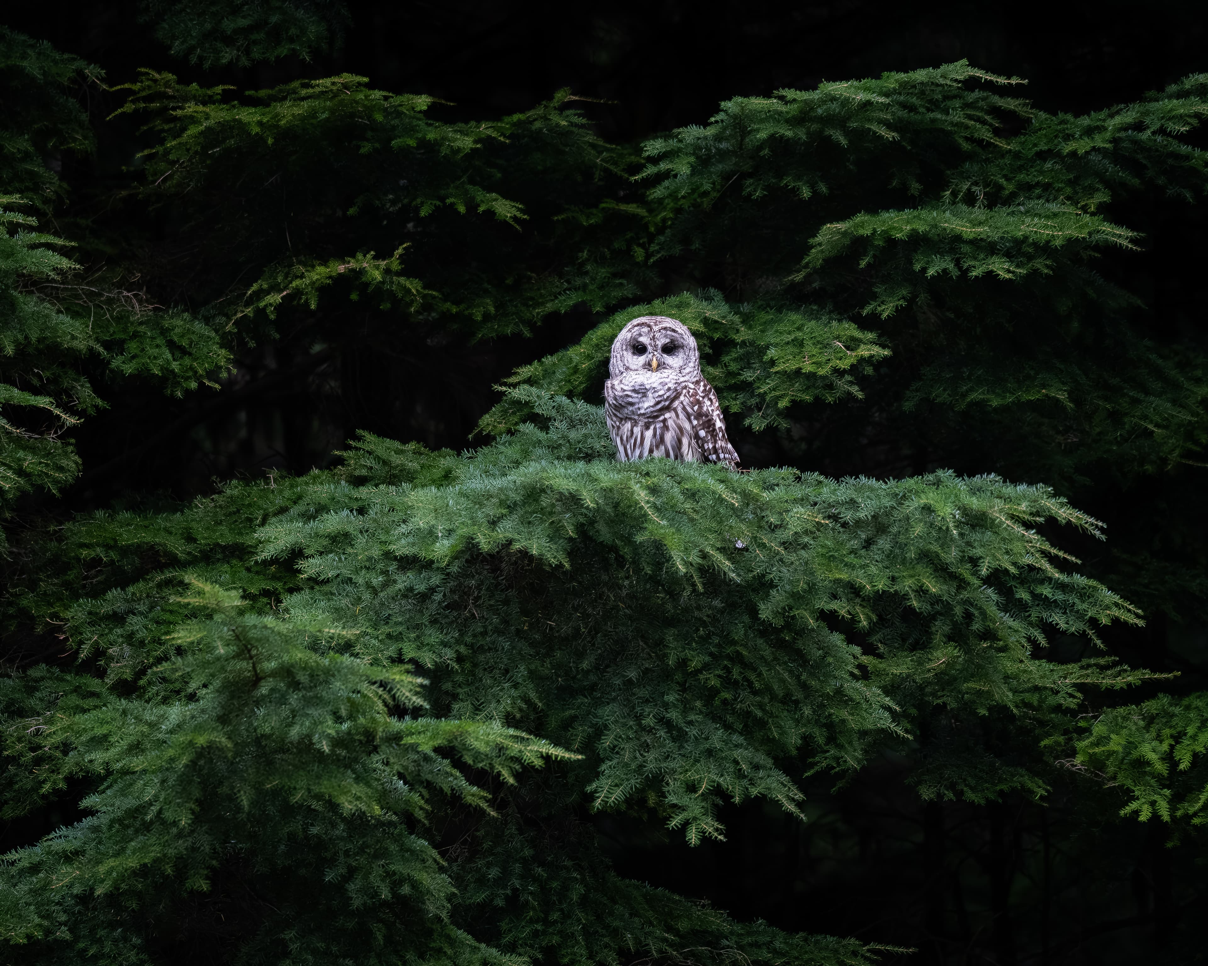 Placeholder image for the value Patience — swap for a photo that reflects your work.